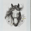 Camisa Feminina Cavalo Babylook Country